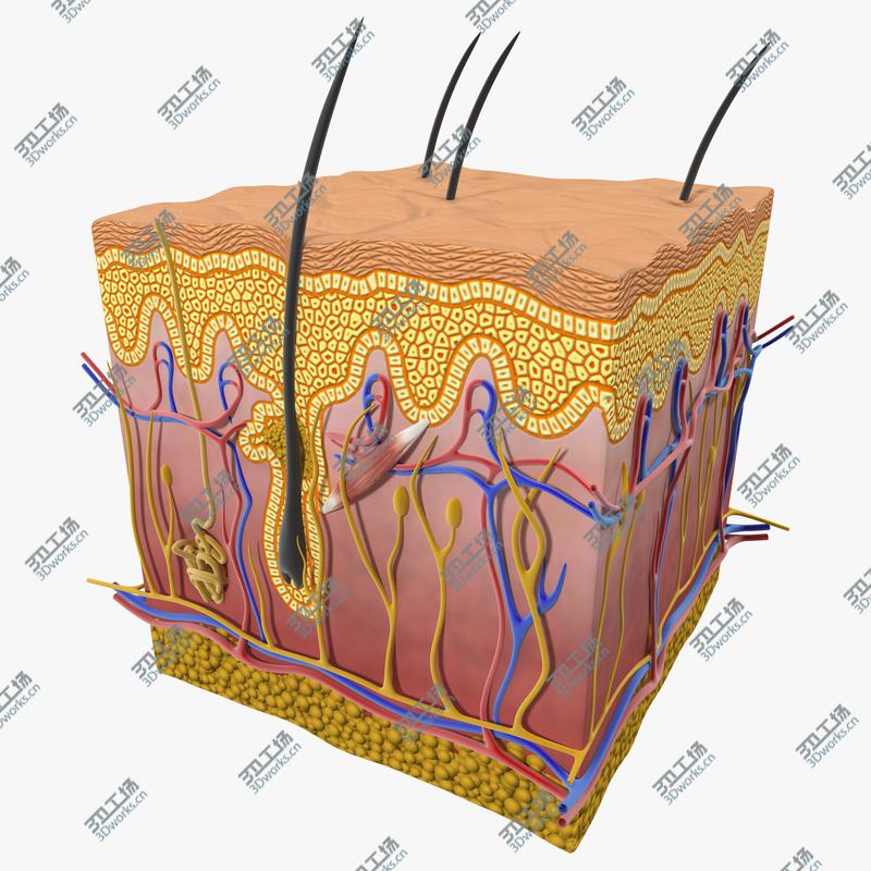 images/goods_img/202104093/Skin Section/1.jpg